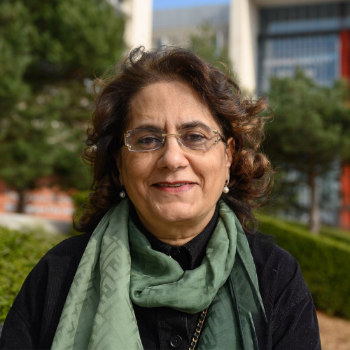 <b>Prof Hanifa Shah<br/>Birmingham City University</b><br/><br/>Professor Hanifa Shah has distinguished herself as a transformative leader at Birmingham City University, profoundly impacting computing, engineering, and STEAM. Serving as Pro-Vice Chancellor and Executive Dean, her strategic vision has propelled BCU to the forefront of digital transformation. Initiatives like the STEAMhouse Digital Labs showcase her commitment to interdisciplinary collaboration and innovation. Her leadership has notably enhanced educational landscapes and bolstered BCU's community engagement, driving regional growth and inclusivity, especially among women in tech.