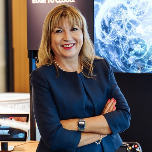<b>Sue Preston<br/>Hewlett Packard Enterprise</b><br/><br/>A seasoned tech leader with roots at Morse, SCC, and HP, Sue is widely respected for her skills, impact, and long-standing contributions to the industry.